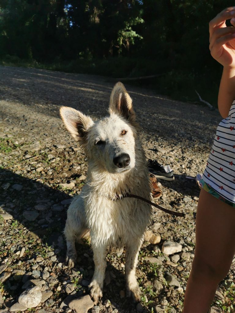Seven Du Domaine Des Beautés Divines