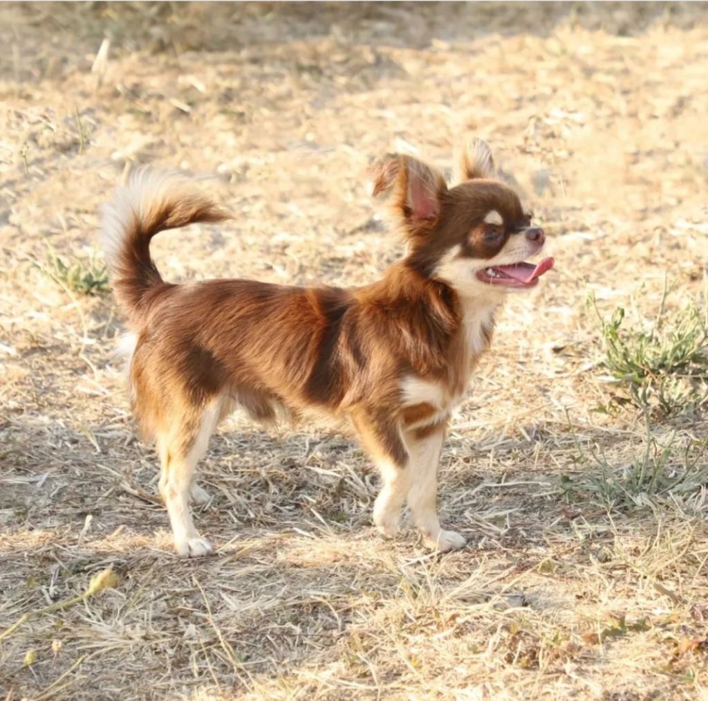 Undy Du Royaume D'odin